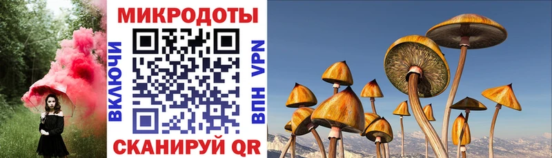 Галлюциногенные грибы Psilocybe  Купить  Печоры 